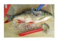 Škrabka na ryby 14x5cm nerez/PH