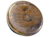 Víčko 130mm Cu Víčko 130mm Cu - Dům a dílna kouřovina