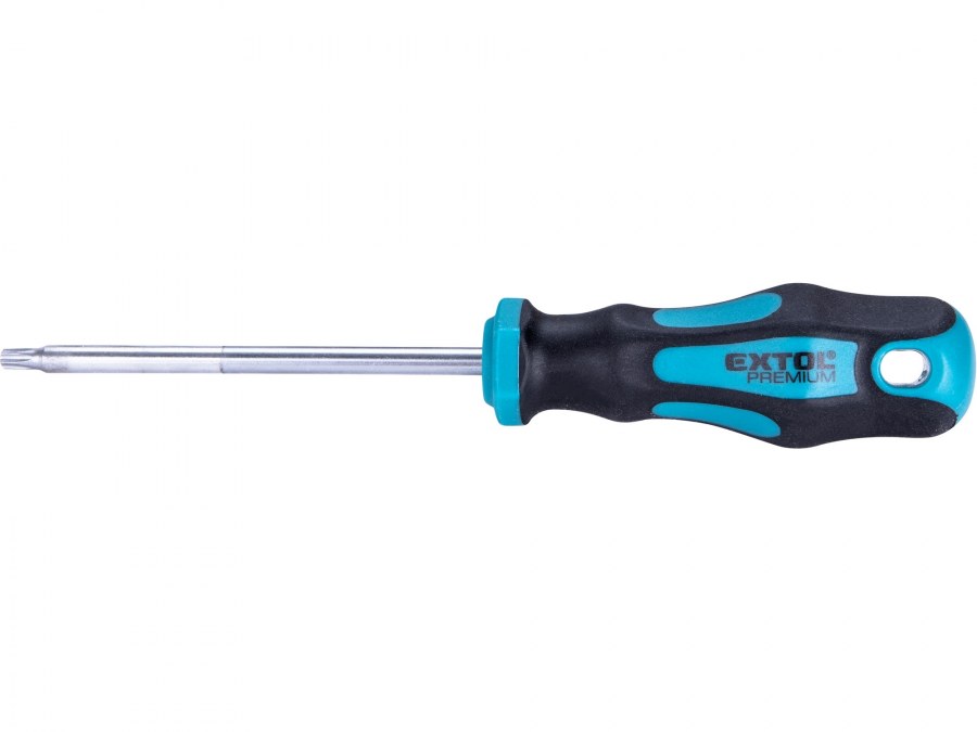 Šroubovák TORX TX25x100mm Šroubovák TORX TX25x100mm - Dům a dílna ruční nářadí, organizery