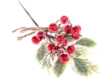 Větvička zimní 23cm červená