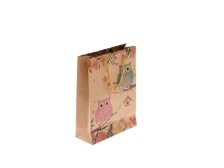 Taška dárková 15x20cm Sovičky mix