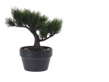 Dekorace Bonsai strom 10,5cmx19cm mix druhů