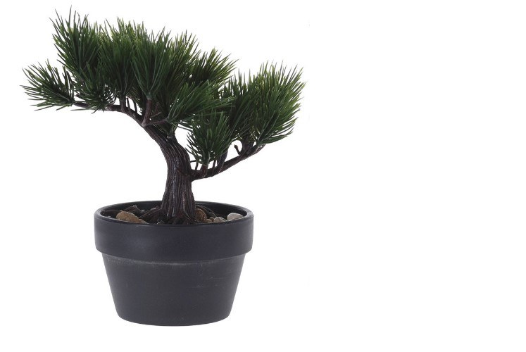 Dekorace Bonsai strom 10,5cmx19cm mix druhů - Domácnost a úklid bytové dekorace, textilní doplňky