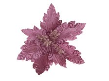 Zimní květ růžový 15cm