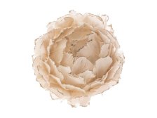 Květ závěsný 6,5cm čajový s peříčky