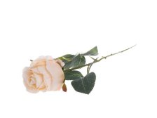 Růže 46cm krémová