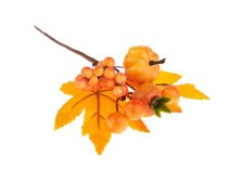 Větvička podzimní Dýně se šípky 14cm