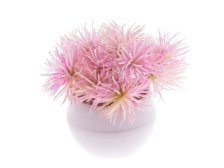 Květina v květináči 10x11cm růžová