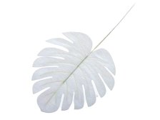 List 35x15cm bílý, textilní