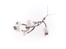 Větvička Zimní bobule 14cm bílé