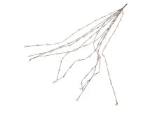 Svazek větviček 65cm/10ks bílé slzičky