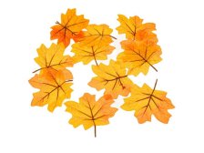 Sada podzimních listů 12ks/6x5cm